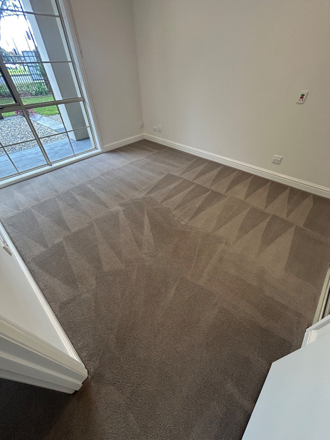 Freshly steam-cleaned carpet with even extraction lines in an empty apartment room